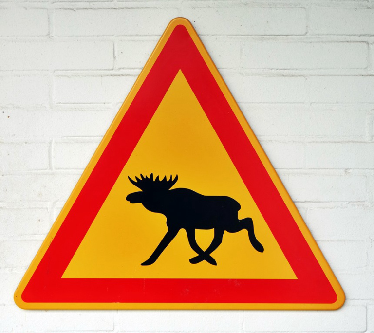 Verkehrsschild Vorsicht Elch