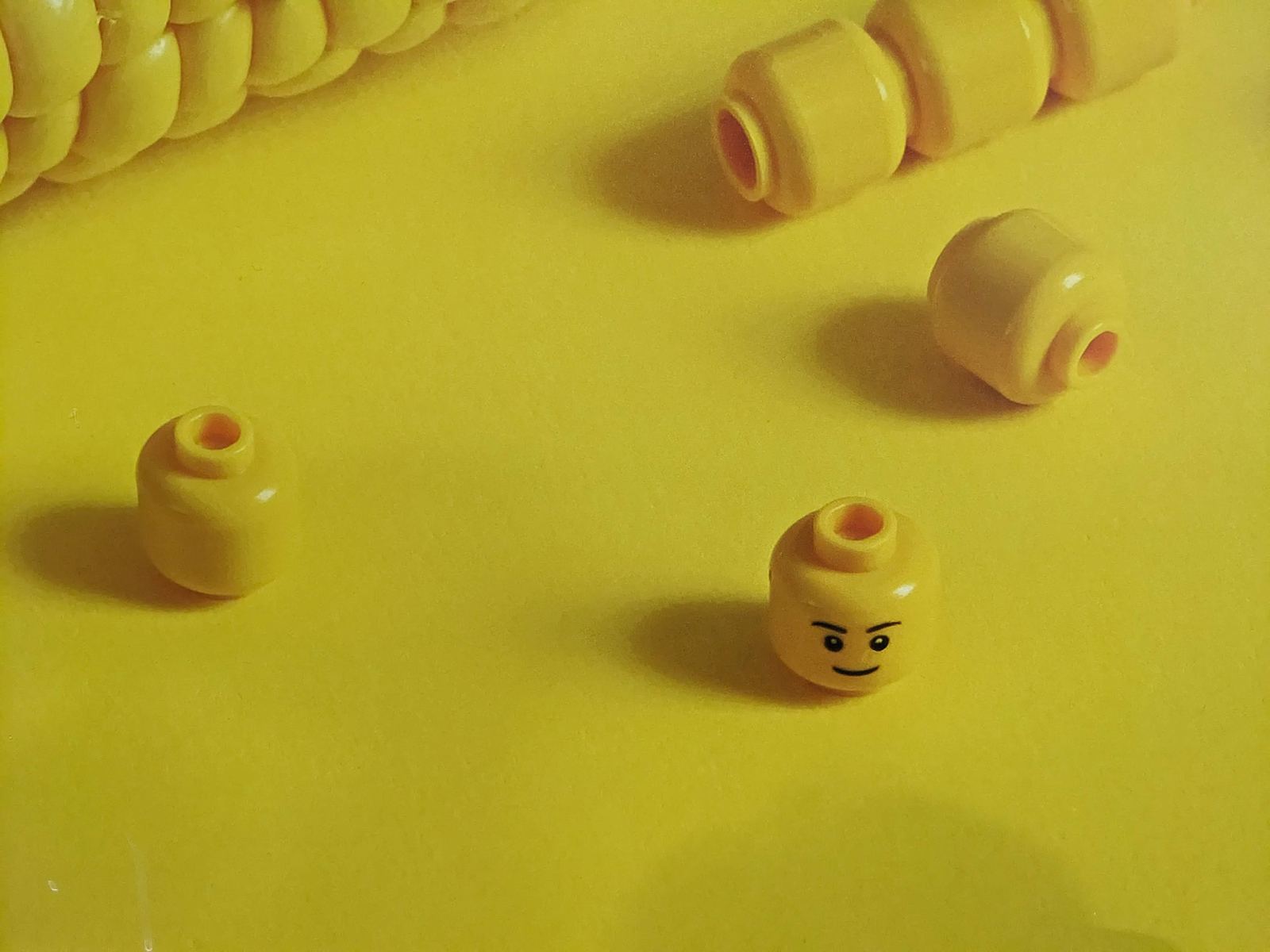 Ein Maiskolben aus lego-artigen, glänzenden Kernen liegt neben losen, kopfartigen Legoteilen auf gelbem Untergrund, eines mit aufgemaltem Gesicht