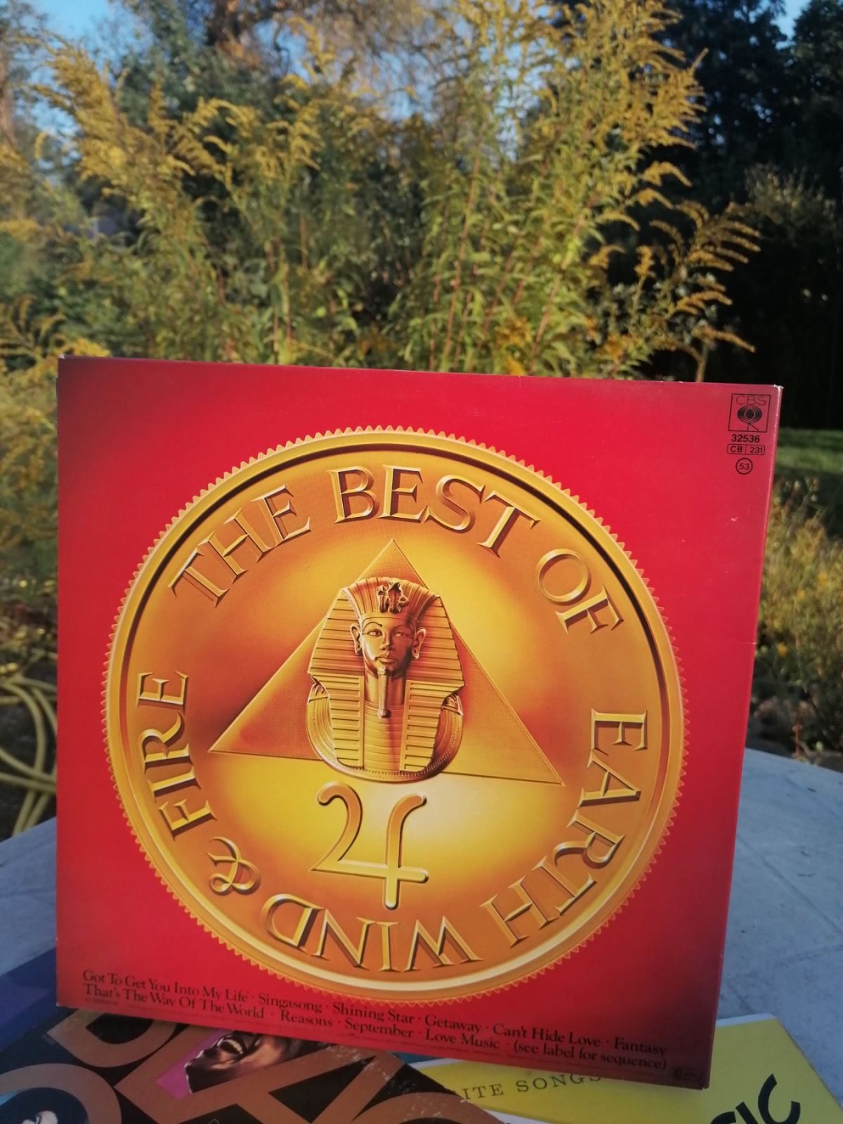 70er Jahre Bands - Schallplatte von Earth Wind & Fire