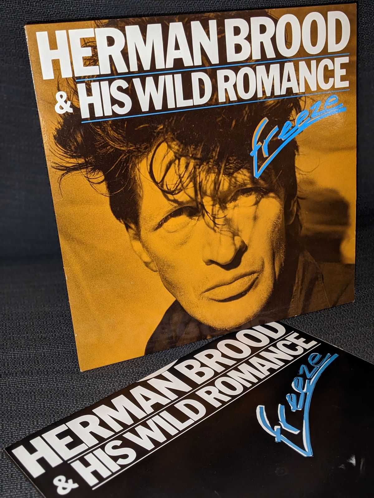 Plattenhülle und Cover von Freeze mit Titeln wie Legal in Amsterdam und Johnny von Herman Brood & His Wild Romance