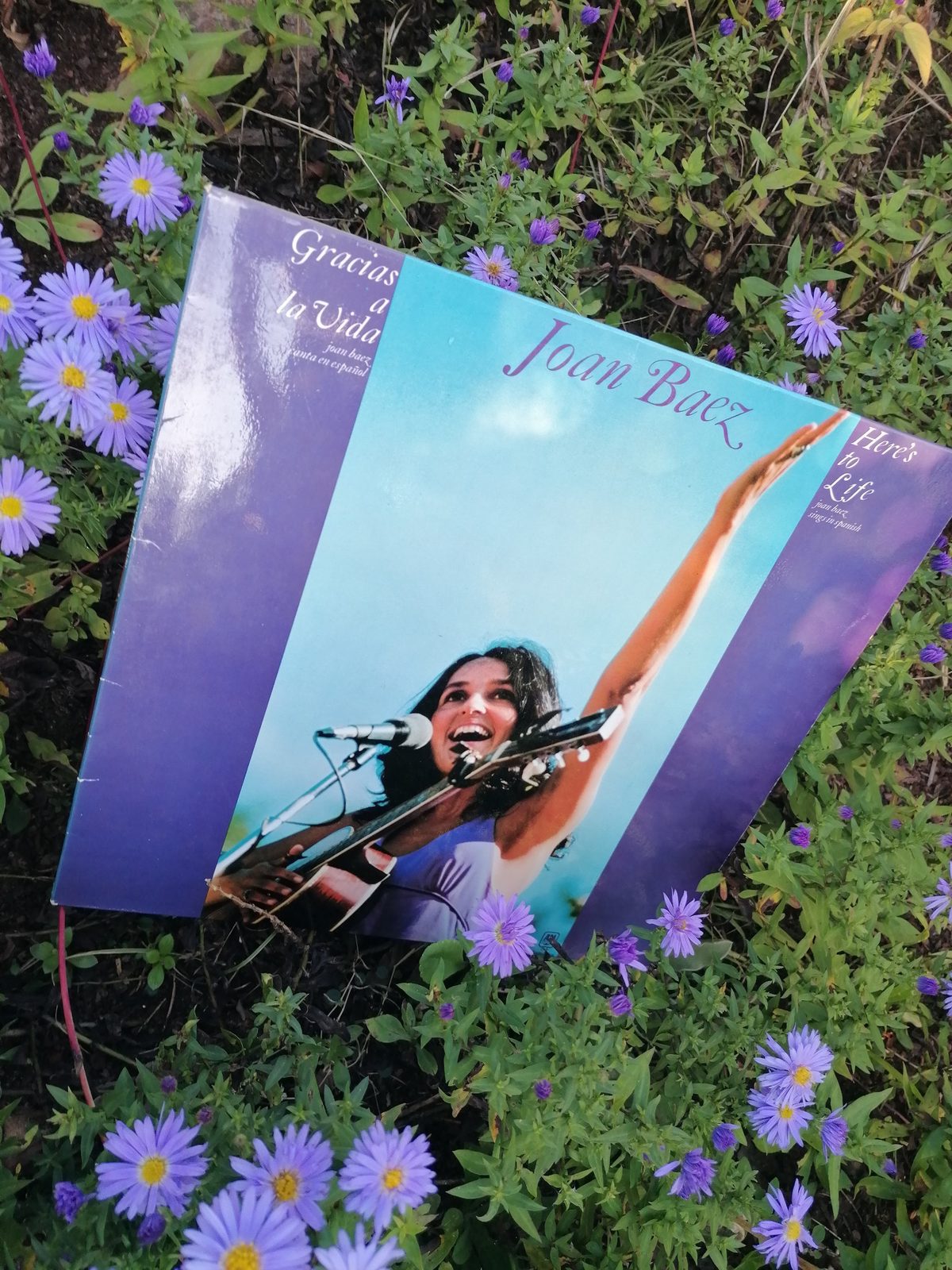 Frontcover der LP Gracias a la Vida von Joan Baez mit Bühnenfoto der Sängerin mit Gitarre und erhobenem Arm, zwischen violetten Gartenblumen fotografiert