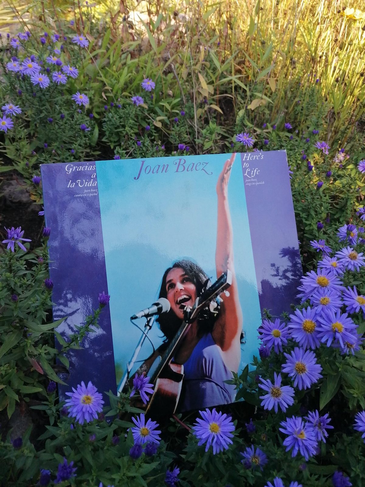 Zweite Ansicht des türkis-violetten Joan-Baez-Covers zwischen blühenden violetten Blumen im Garten, mit gut sichtbarem Titel Gracias a la Vida und Here's to Life