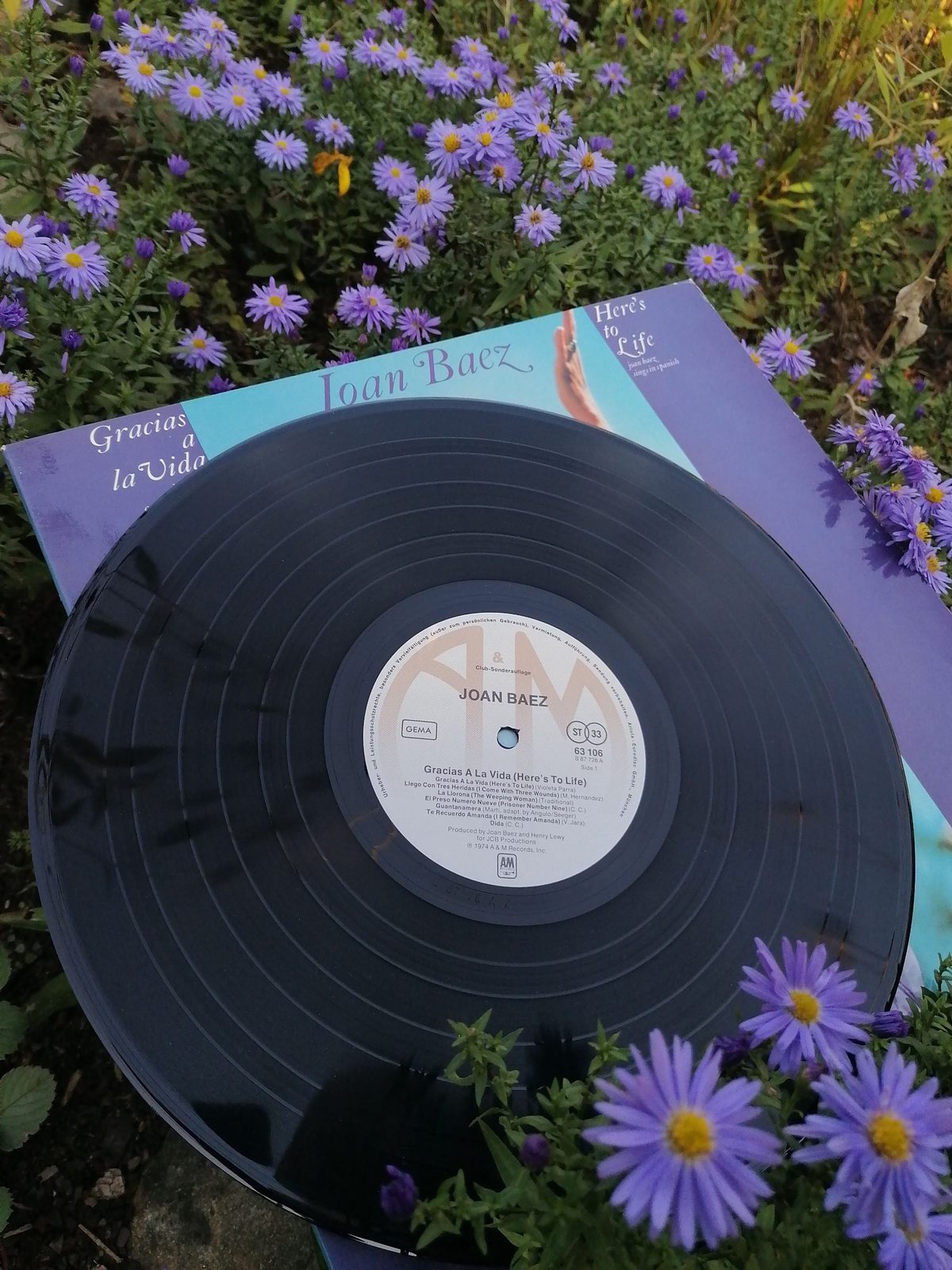 Schwarze Vinylplatte von Joan Baez auf dem Plattencover zwischen violetten Blumen, mit hellem A&M-Mittellabel, Katalognummer 63 106 und Club-Sonderauflage-Hinweis
