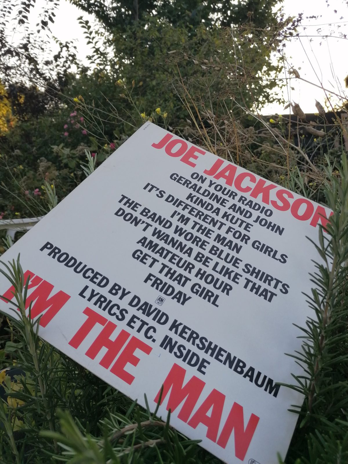 Rückseite der Schallplattenhülle von Joe Jacksons I'm the Man mit groß gesetzter Titelliste, Produktionsangaben und roter Typografie. Clipsy Kultur und Magazin
