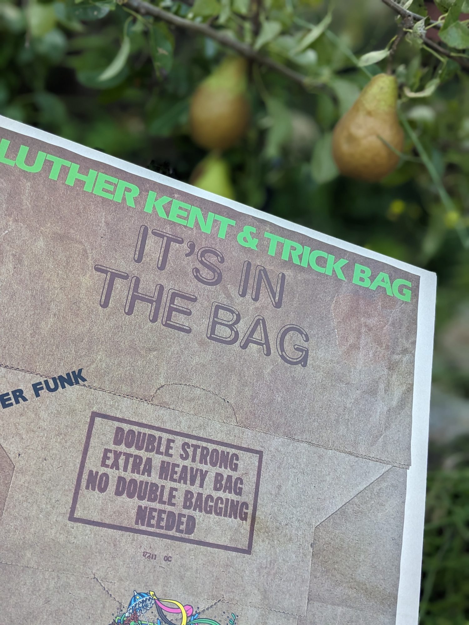 LP-Cover von Luther Kent & Trick Bag vor einem Birnbaum, mit grüner Interpretenzeile, dem Titel It's in the Bag und dem aufgedruckten Tütenmotiv.