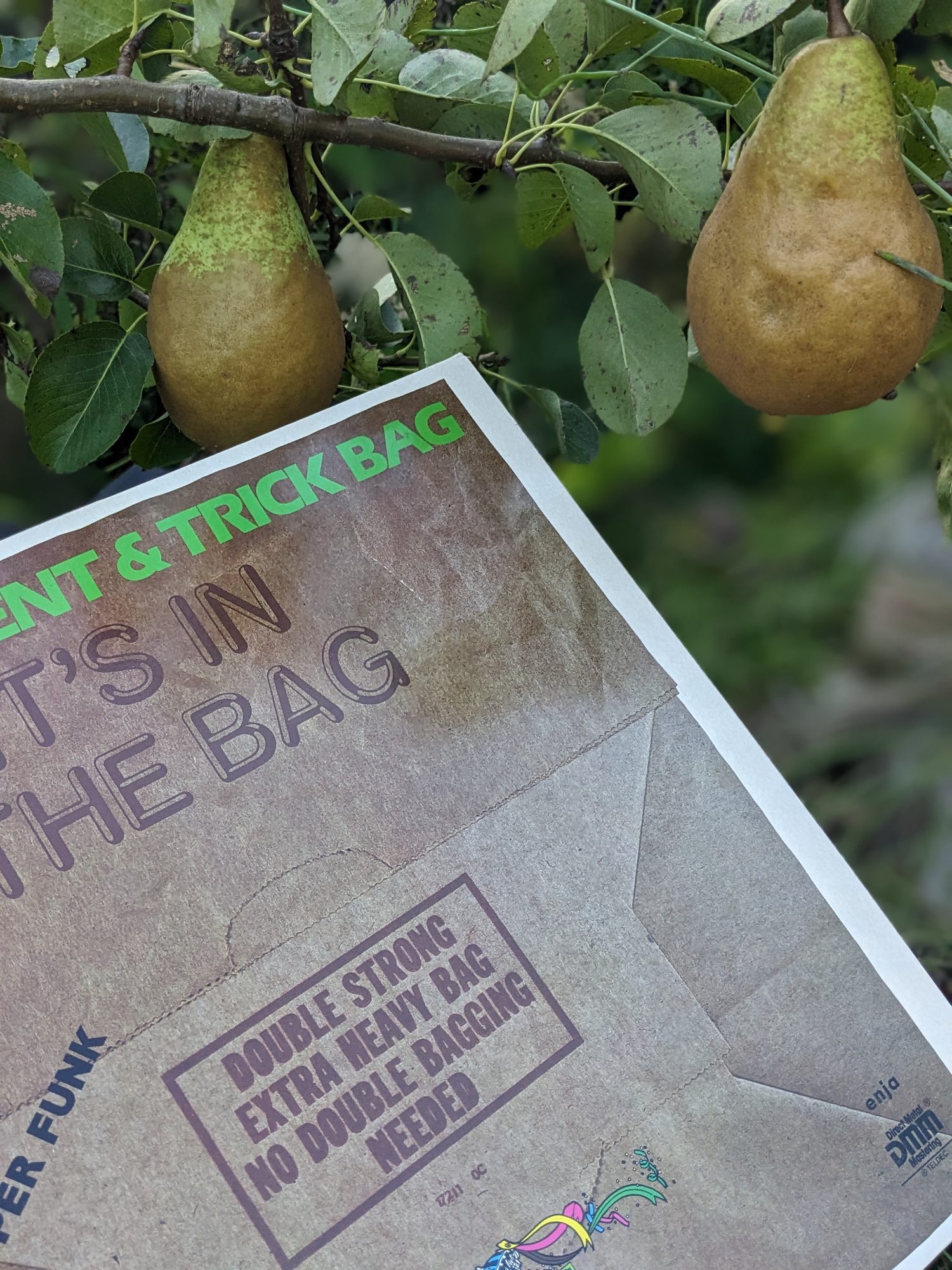 Detailaufnahme der braunen LP-Hülle von It's in the Bag vor zwei reifen Birnen am Baum; sichtbar sind Titel, Tütenmotiv und Aufdruck zur extra starken Tüte.