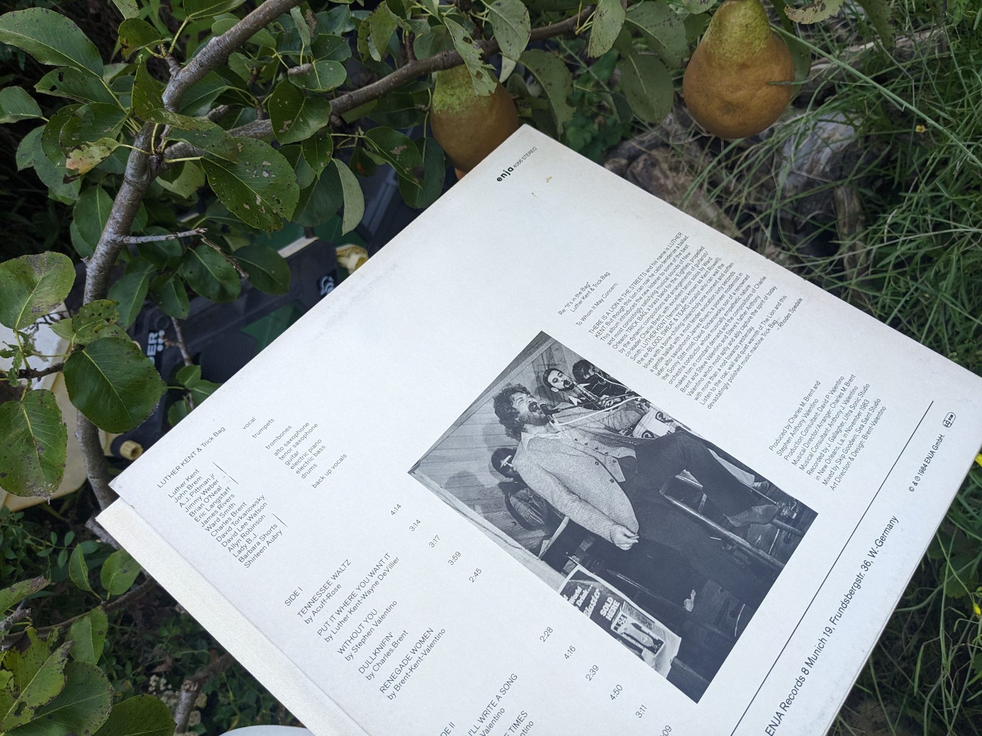 Rückseite der Schallplattenhülle von Luther Kent & Trick Bag schräg unter einem Birnbaum fotografiert, mit Titelliste, Musikerangaben und Schwarzweißfoto.