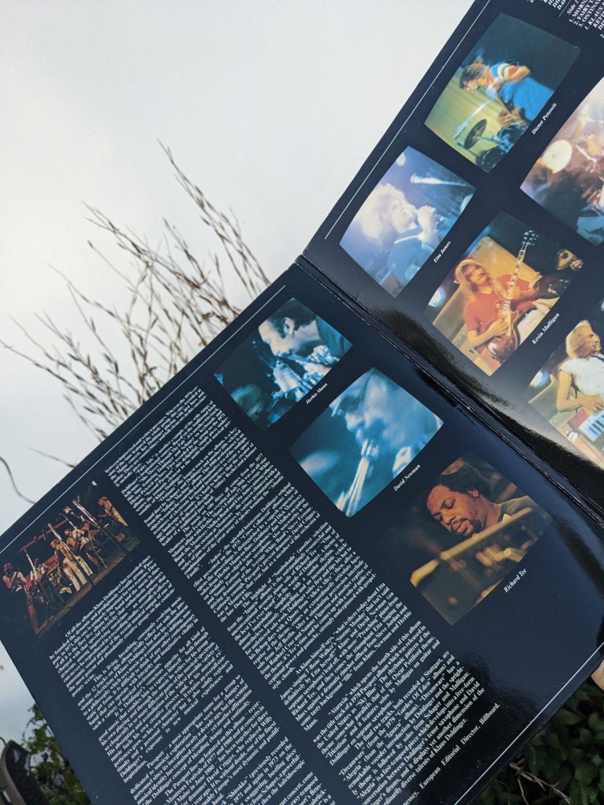 Schallplatten Blog – Warum Schallplatten besser als CD oder Streaming sind - din allen Schallplattensammlungen gibt es die Doppelalben und die LDs mit tollen Cover Illustrationen
