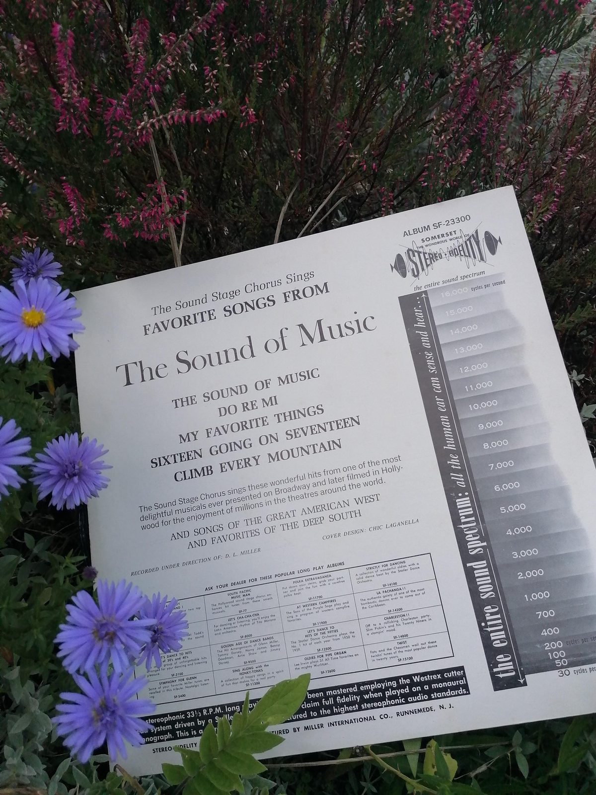 Vollständige Rückseite der LP Favorite Songs from The Sound of Music im Garten, mit Titeln, Begleittext, Somerset-Stereo-Fidelity-Grafik und technischen Angaben