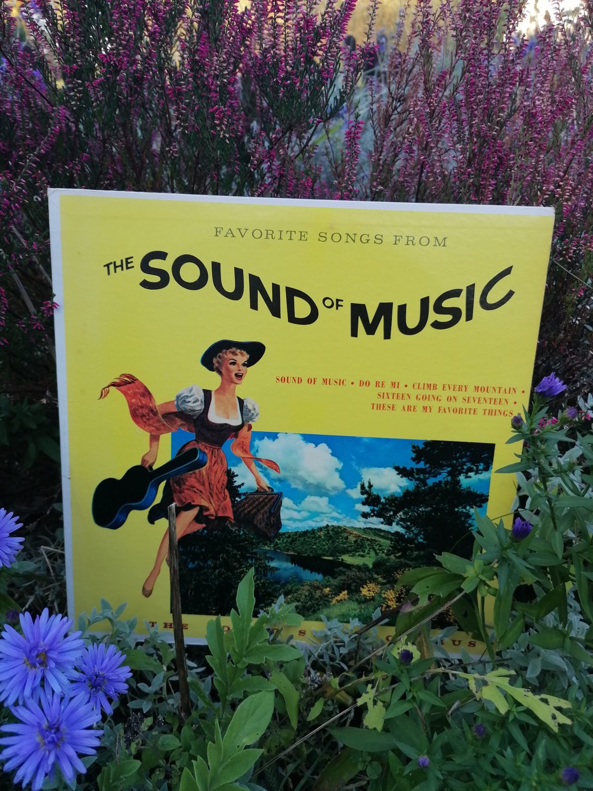 Gelbes Frontcover der LP Favorite Songs from The Sound of Music von The Sound Stage Chorus mit gezeichneter Frau in Tracht, Gitarrenkoffer und Landschaftsbild zwischen violetten und rosafarbenen Gartenblumen