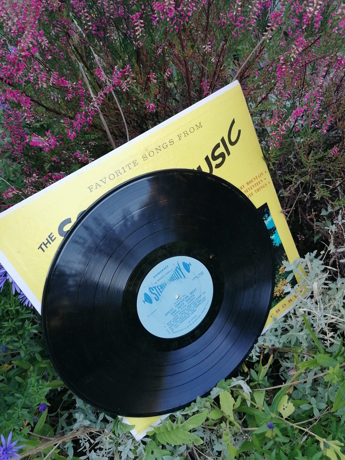 Schwarze Vinylplatte vor dem gelben Sound-of-Music-Cover in einem Blumenbeet, mit hellblauem Somerset-Stereo-Fidelity-Mittellabel und Katalognummer SF-23300