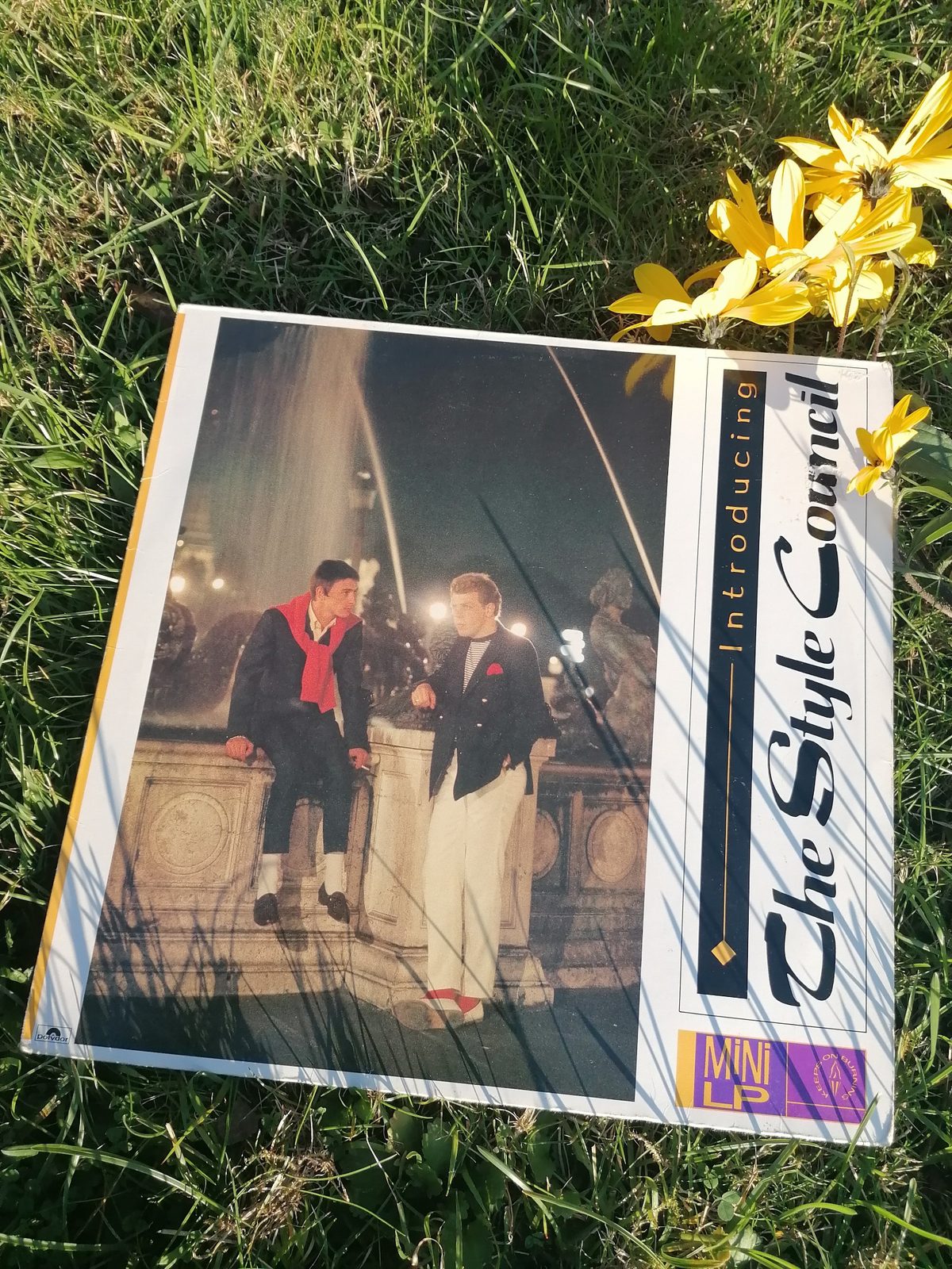 Zweite Ansicht des weißen Covers von Introducing The Style Council auf grünem Gras mit gelben Blumen, mit großem Schriftzug und Mini-LP-Kennzeichnung