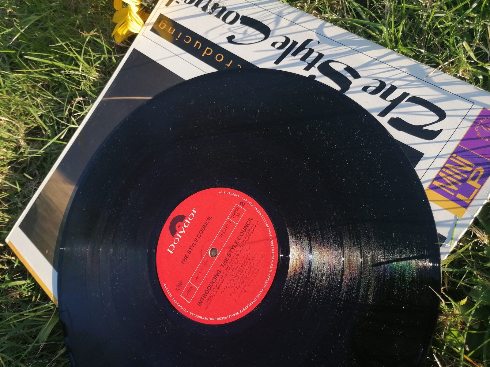 Schwarze Vinylplatte von The Style Council auf dem Cover im Gras, mit rotem Polydor-Mittellabel und der Katalognummer 815 277-1